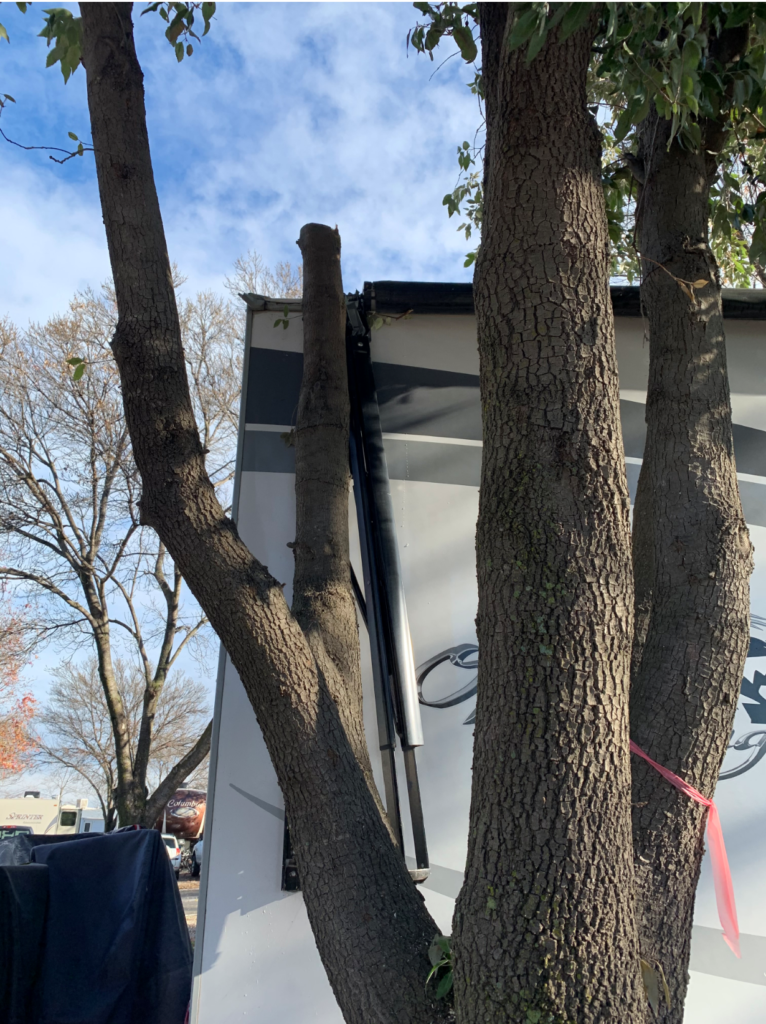 Trailer almost freed